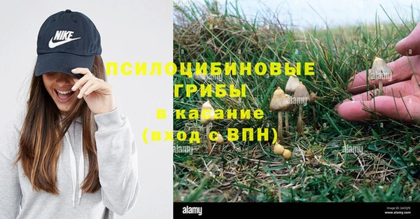 соль курить ск Липки