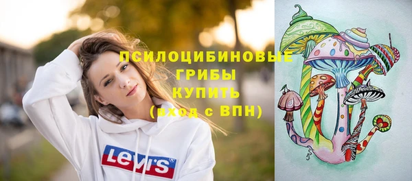 ECSTASY Лиски