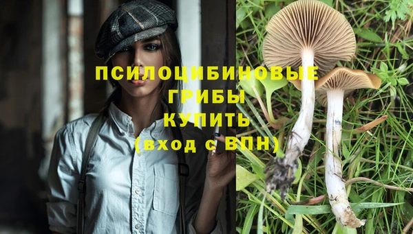 соль курить ск Липки